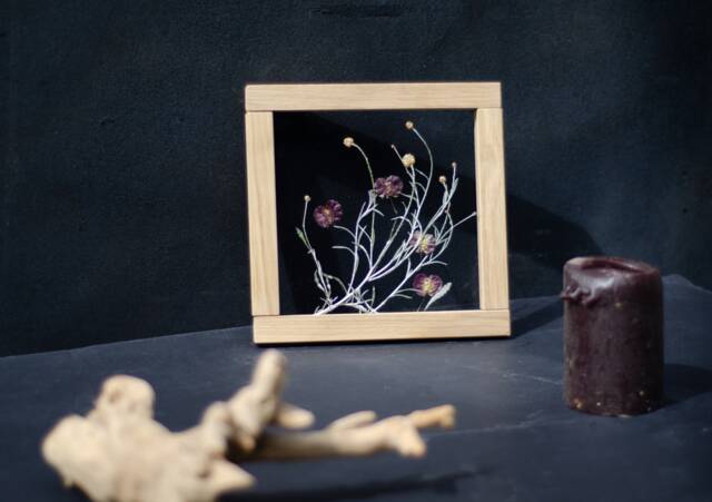 Pressed Flower Wall Art 8x8 - image 1