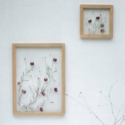 Pressed Flower Wall Art 8x8 - thumbnail 3