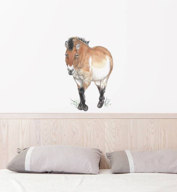 Small Pony Wall Sticker Decal - Kids Stickers, Animals Childrens Decals, Art, Room, Girl, Boy