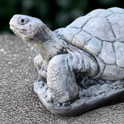 Outdoor Turtle Figurine Concrete Reptile Statue Stone Sculpture Cement Animal Decoration Turtle Lover Gift Handmade Yard Art - thumbnail 4