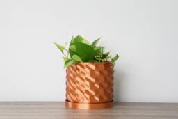"Geometric Planter With Drainage & Saucer in Copper, Unique 3D-Printed Plant Pot, Small To Large Sizes 4"" 5"" 6"" 7"" 8"