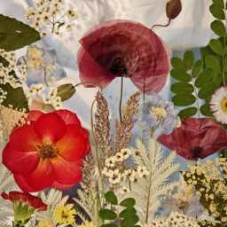 stained Glass Pressed Flower Ornament Dried Wildflower Bouquet - thumbnail 2