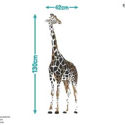 Giraffe Wall Sticker, Jungle Stickers, Safari Room Decor, Theme - thumbnail 3