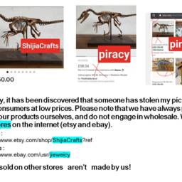 61cm, Dinosaur Model/Velociraptor Skeleton Model H-1001 - thumbnail 2