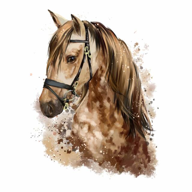 085 Wall Decal Horse Head Brown - Children's Room Teenager Sticker Mural Decoration Riding in 6 Sizes Nikima - image 1