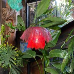 The Vana Lamp. Handcrafted One-Of-A-Kind Lighting. Resin Pendant Lamp, Drip Ambient Light, Mushroom Decor, Jellyfish Lighting Home Decor - thumbnail 2