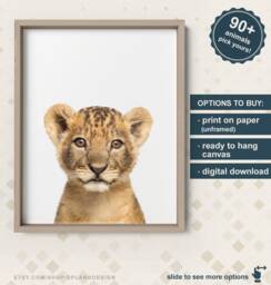 Lion Decor For Kids Canvas, Cub Wall Art, Baby Photo, Nursery, Safari Animal Nursery - thumbnail 1