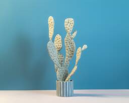 Large Opuntia Textile Sculpture - Statement Cactus Art in Striped Pot - thumbnail 1