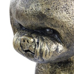 Bichon, Dog Natural Size Statue, Limited Edition, Artdog - thumbnail 2