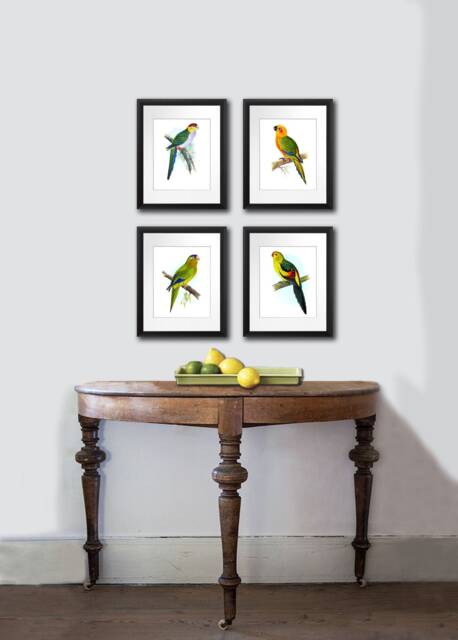 Tropical Birds Wall Decor Set Of 4 Unframed Parrots Art Prints - image 1