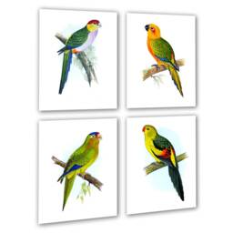 Tropical Birds Wall Decor Set Of 4 Unframed Parrots Art Prints - thumbnail 3