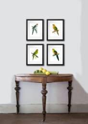 Tropical Birds Wall Decor Set Of 4 Unframed Parrots Art Prints - thumbnail 1