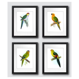 Tropical Birds Wall Decor Set Of 4 Unframed Parrots Art Prints - thumbnail 2