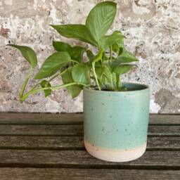Planter For House Plants - Hand-Thrown Indoor The Village Pottery - thumbnail 3