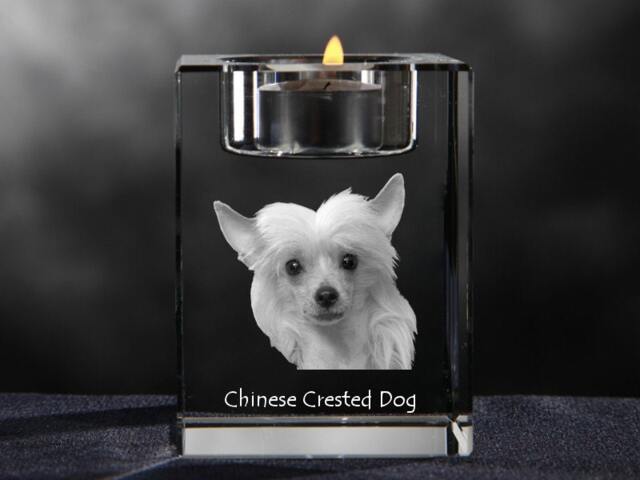 Chinese Crested Dog, Crystal Candlestick With Dog, Souvenir, Decoration, Limited Edition, Collection - image 1