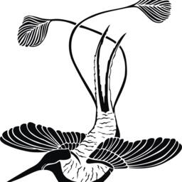 Colibri Exotic Vinyl Bird Decal Wall Sticker Bird-Of-Paradise Interior Decor - thumbnail 2