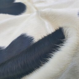 Large Cowhide Rug Peau De Vache Cow Hide Fur - thumbnail 3