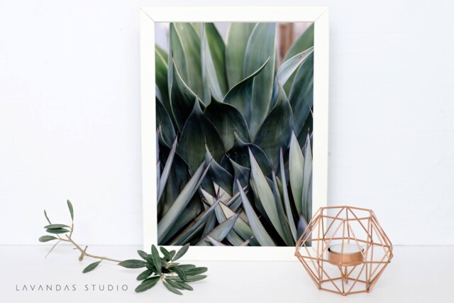 Printable Wall Art, Greenery, Photography, Instant Download, Decor, Boho, Photo, Print - image 1