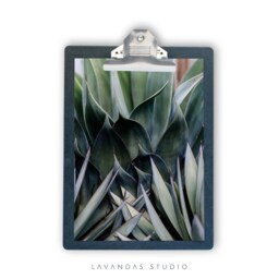 Printable Wall Art, Greenery, Photography, Instant Download, Decor, Boho, Photo, Print - thumbnail 2
