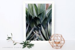Printable Wall Art, Greenery, Photography, Instant Download, Decor, Boho, Photo, Print - thumbnail 1