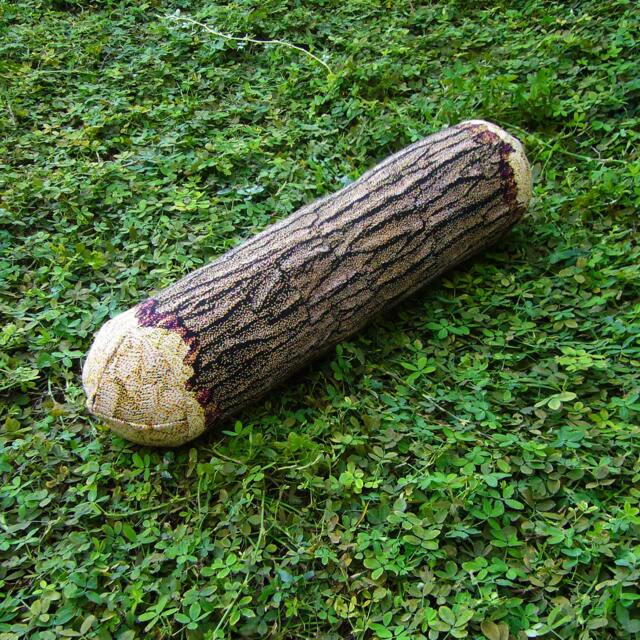 Long Cottonwood Tree Log Bolster Pillow - Phone Number Must Be Included For Purchase - image 1