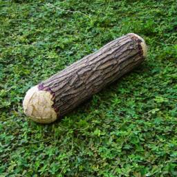 Long Cottonwood Tree Log Bolster Pillow - Phone Number Must Be Included For Purchase - thumbnail 1