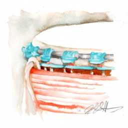 Djembe Drum Watercolor Art Print West African Music - thumbnail 3