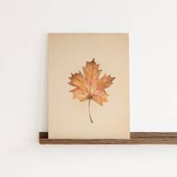 Maple Leaf Print, Printable Fall Decor, Warm Tones Poster, Botanical Wall Art, Autumn Foliage Canvas, Rustic Farmhouse Housewarming - thumbnail 3