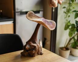 Large Mushroom Sculpture 11.5 Inch/29 , Wooden Carving, Home Decor, Room Personalized Statue, Living Room, Office Gift Idea