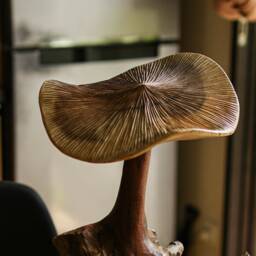 Large Mushroom Sculpture 11.5 Inch/29 , Wooden Carving, Home Decor, Room Personalized Statue, Living Room, Office Gift Idea - thumbnail 2