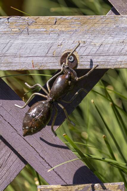Hand Crafted Recycled Metal Ant. Handmade Outdoor Garden Sculpture. Ants. Wall Decoration