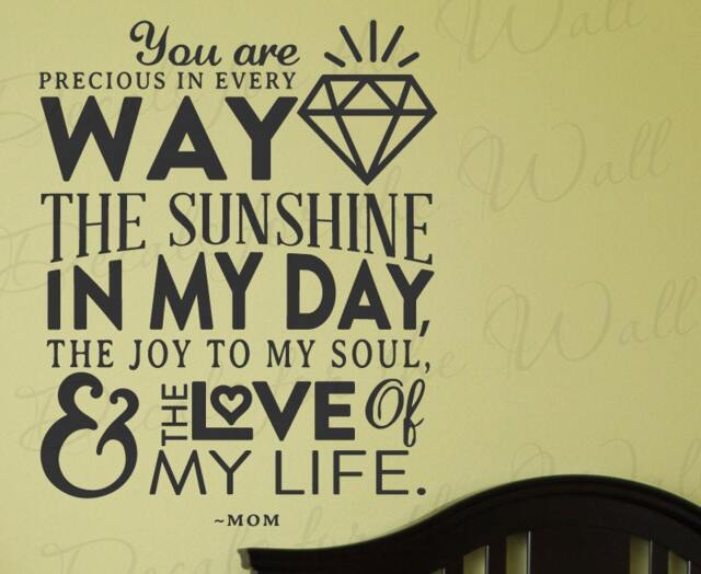 You Are Precious in Every Way Sunshine My Day Joy Soul & The Love Of Life Mom Mother Baby Kids Nursery Birth Wall Decal Vinyl Art Q97 - image 1