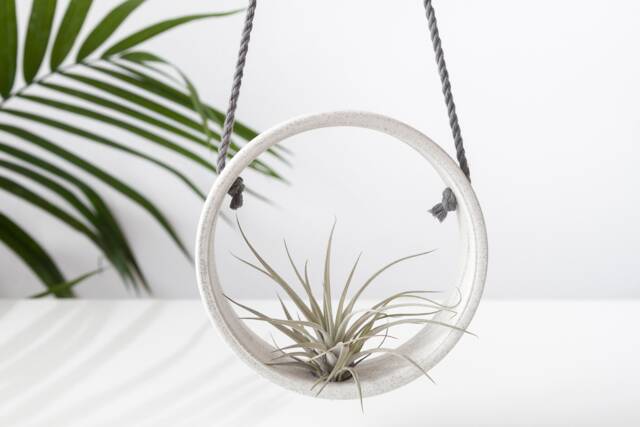 Tillandsia Holder Speckled Ceramic , Air Plant Handmade Planter Small Wall Vase - image 1