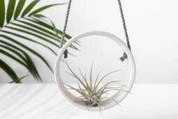 Tillandsia Holder Speckled Ceramic , Air Plant Handmade Planter Small Wall Vase - thumbnail 1