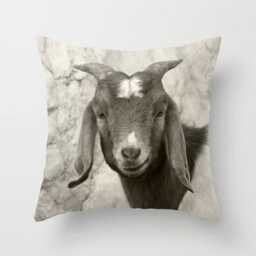 Smiling Goat, Pillow Or Cover Fine Art Photography, Home Decoration, Rustic, Farm, Black, White, Animal, Country Living, Kids Decor - thumbnail 1
