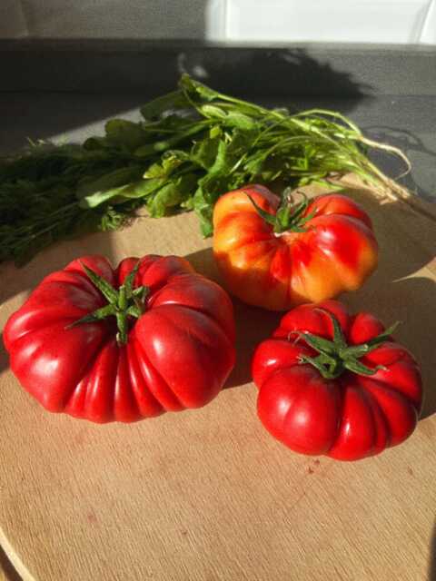 Handmade Heirloom Tomato Candle Farmhouse Table Decoration - image 1