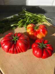 Handmade Heirloom Tomato Candle Farmhouse Table Decoration - thumbnail 1