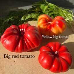 Handmade Heirloom Tomato Candle Farmhouse Table Decoration - thumbnail 2