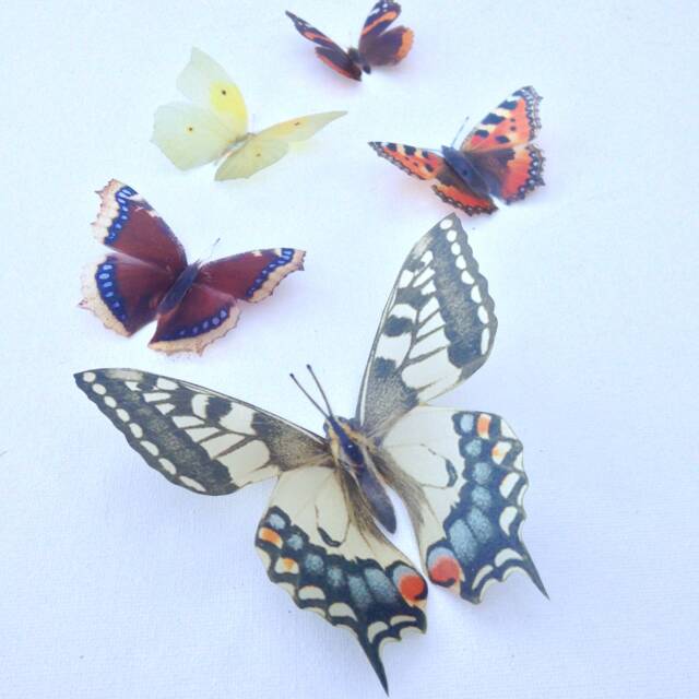 3D Butterfly Wall Art British Replicas, Set Of 5 - image 1