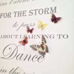 3D Butterfly Wall Art British Replicas, Set Of 5 - thumbnail 2