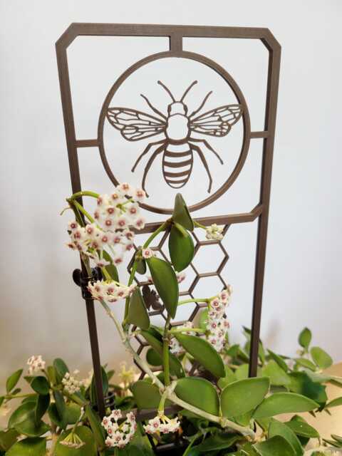 Honeybee Trellis For Indoor Houseplants - 3D Printed Hoya Support - image 1