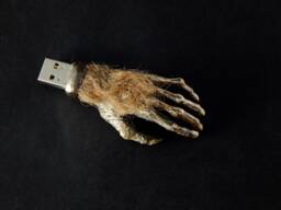 Monkeys Paw Usb Drive - thumbnail 1