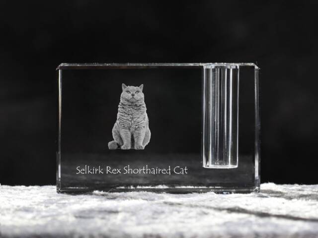 Selkirk Rex , Crystal Pen Holder With Cat, Souvenir, Decoration, Limited Edition, Collection - image 1