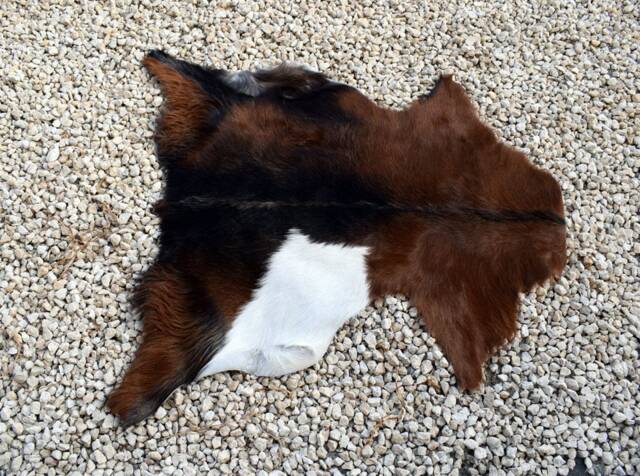 Genuine Goat Skin Rug Natural Leather Hide, Soft Fur - image 1