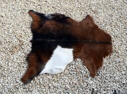 Genuine Goat Skin Rug Natural Leather Hide, Soft Fur - thumbnail 1