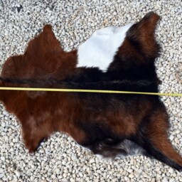 Genuine Goat Skin Rug Natural Leather Hide, Soft Fur - thumbnail 4