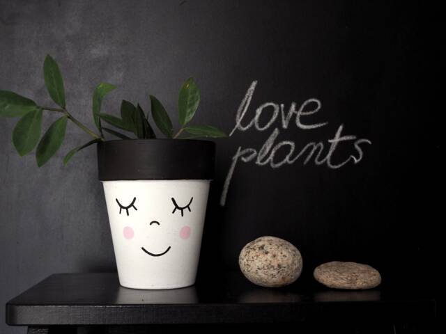 Terracotta Plant Pot Hand Painted With The Funny Face, Ceramic Drainage Hole, Multiple Sizes Available - image 1