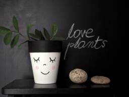 Terracotta Plant Pot Hand Painted With The Funny Face, Ceramic Drainage Hole, Multiple Sizes Available - thumbnail 1