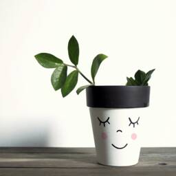 Terracotta Plant Pot Hand Painted With The Funny Face, Ceramic Drainage Hole, Multiple Sizes Available - thumbnail 3