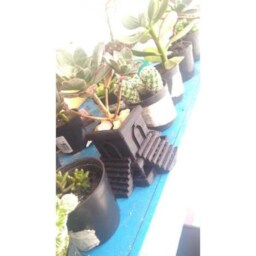 Aztec Planter - Cactus House Plant Desk Small Air Holder Modern Cat Aztec Art - thumbnail 2